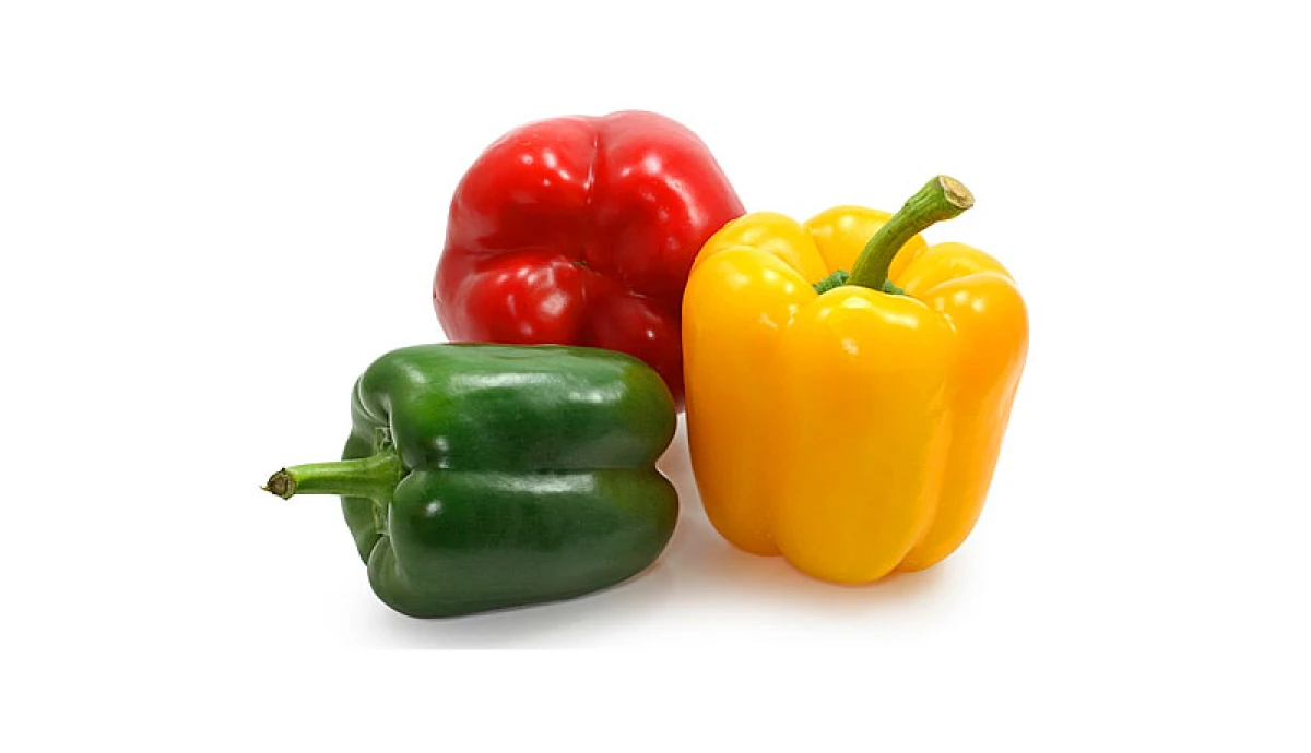Bulgarian Pepper